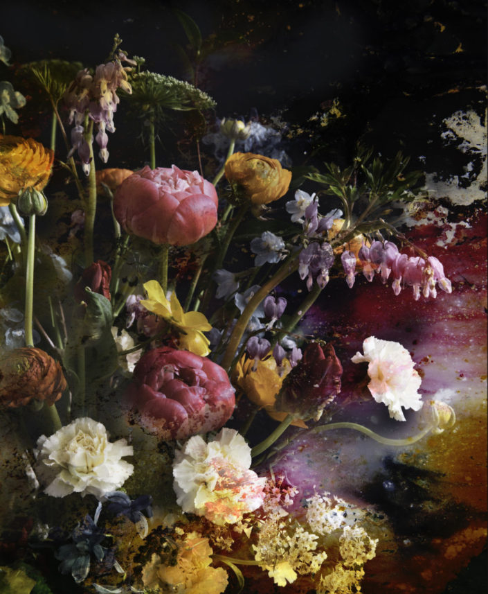 Baroque Flowers I