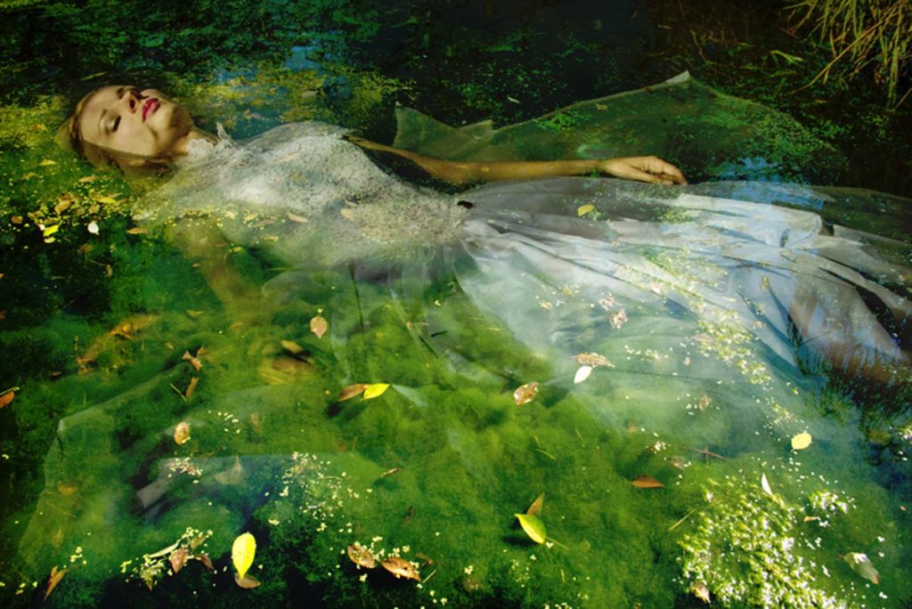 Take me to your dreams Ophelia IV