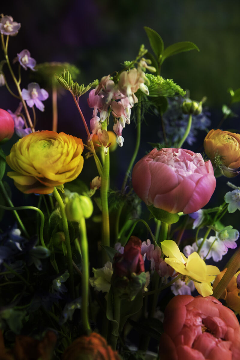 Garden of Hope II (2023)