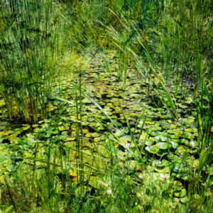 Impressionist pond (2022)