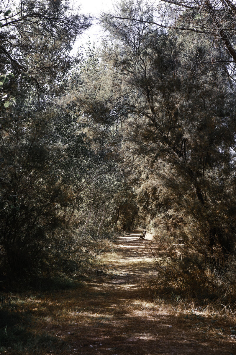Lonely road (2021)