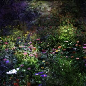 Night Garden