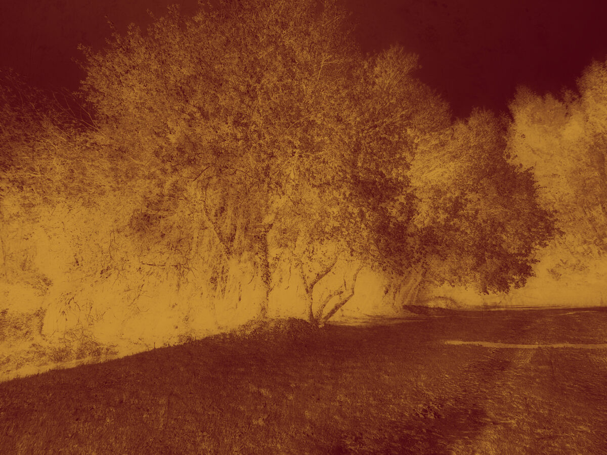Echoes in Gold IV