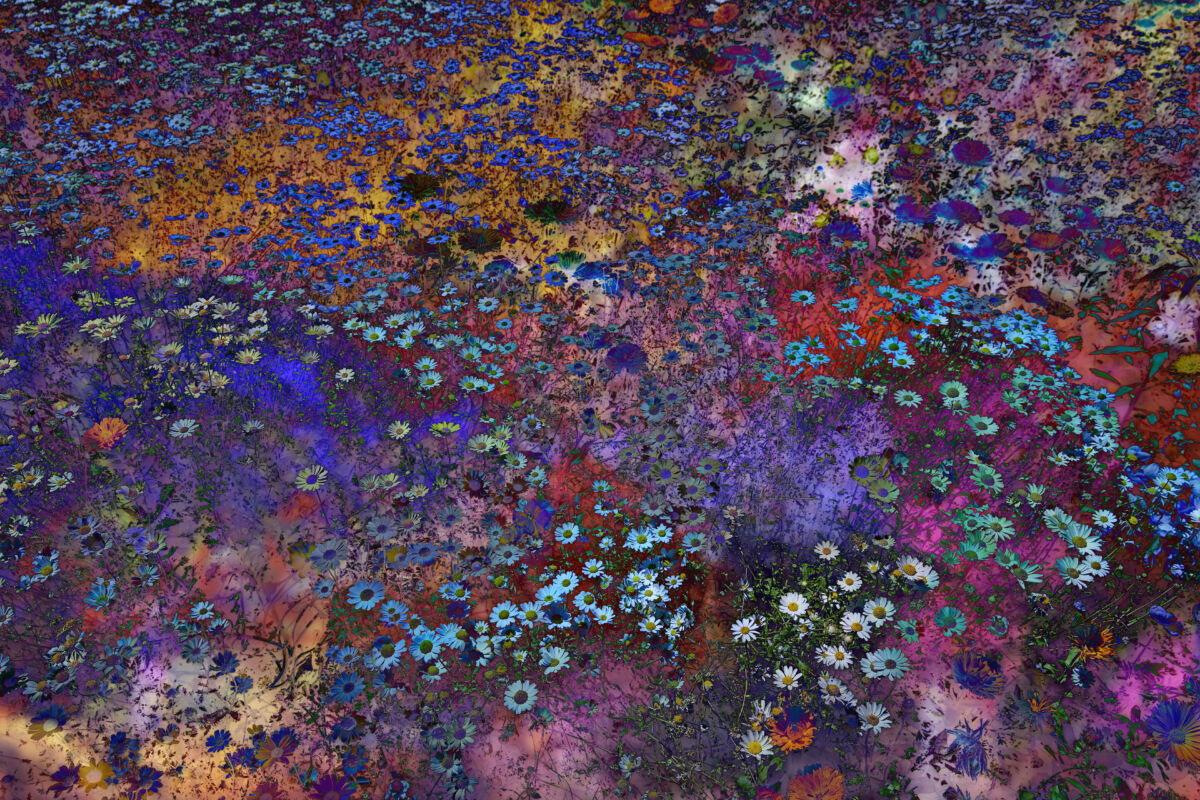 Shades of Dreams II (2026)
