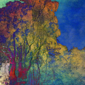 Shades of Dreams XXII (2026)